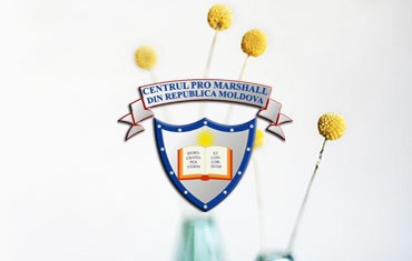 Ghid privind integritatea și drepturile militarilor în cadrul  ...