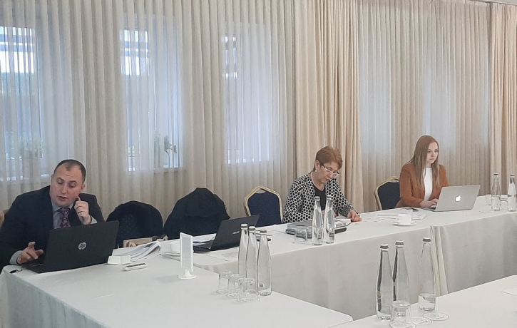 Prezentarea Raportului Alternativ intermediar al monitorizării ...